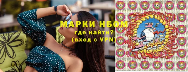 гидра Новозыбков