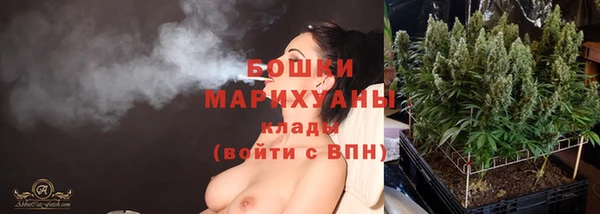 гидра Новозыбков
