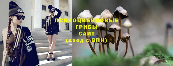каннабис Новодвинск