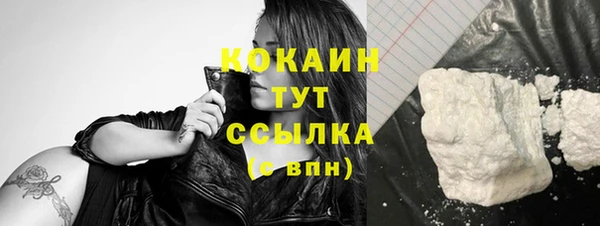 гидра Новозыбков