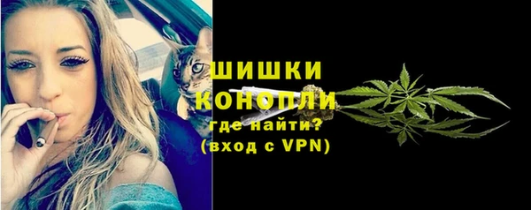 гидра Новозыбков