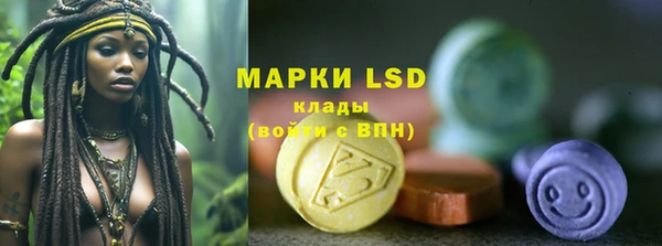 гидра Новозыбков